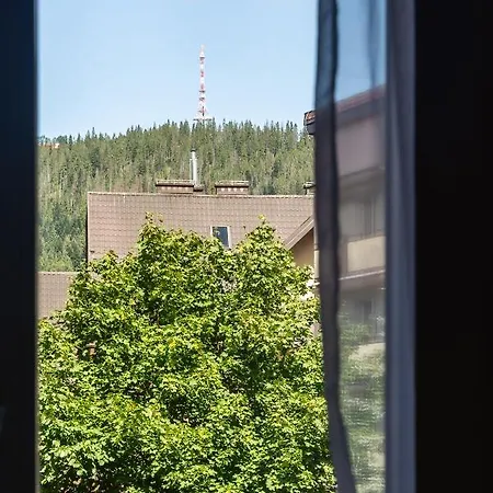 Apartament Central Zakopane Апартаменты *