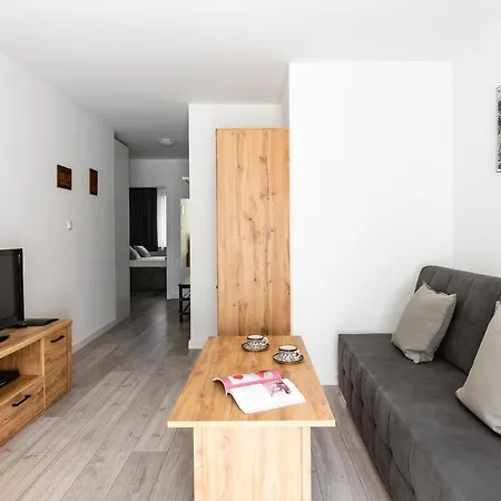 公寓 Apartament Central Zakopane